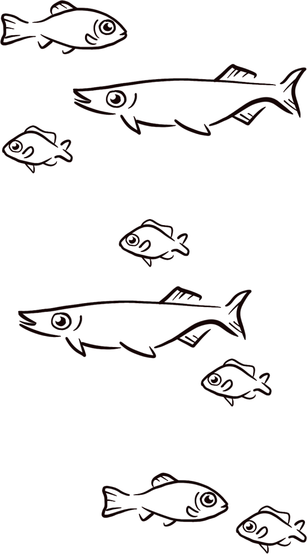 a large group of different fish. There is even spacing between the different kinds of fish, making it hard to tell the groups apart