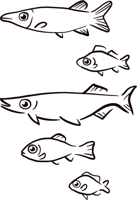 a series of different sizes of fish, lined up vertically. they all have different horizontal alignment, making the design look less cohesive