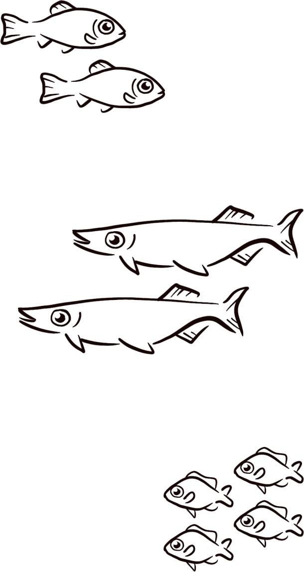 3 different schools of different fish. there is more space between the groups of different fish than between the individual fish in each group making each group of fish distinct, showing good proximity